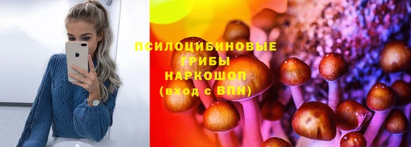 прущая мука Козловка