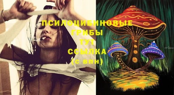 прущая мука Козловка
