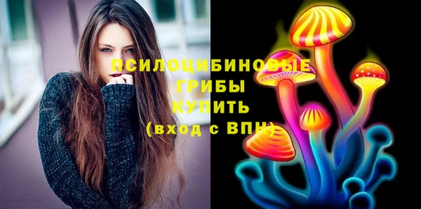 прущая мука Козловка